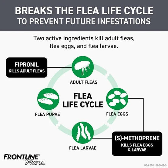 FRONTLINE Plus Flea and Tick Treatment for Cats Over 1.5 lbs. 6 Treatments